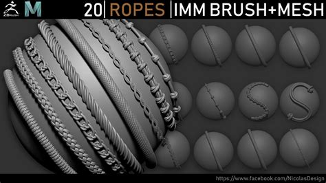 Zbrush - Ropes IMM Brush and Meshes 3D model | CGTrader