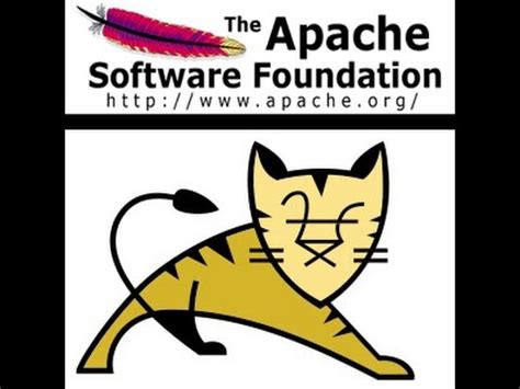 These jar files along with your the jar file for your jdbc driver should be installed in $catalina_home/common/lib. Apache Jakarta : How to install & setup Apache Tomcat ...