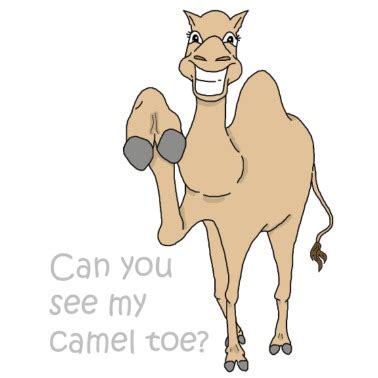 Explore pm me your camel toes (r/pm_me_your_camel_toes) community on pholder | see more posts from r/pm_me_your_camel_toes community like 50year old.still wet. Show me your camel toes Men's Premium T-Shirt | Spreadshirt