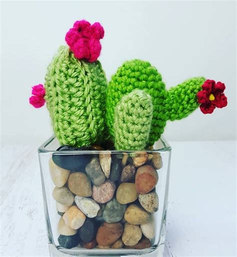 But over the past several weeks, work crews have been destroying dozens of the protected cactuses, which can live for 200 years, to build a new wall on the southwestern border. 12 CUTE CACTUS DIYS Round-Ups Mad in Crafts