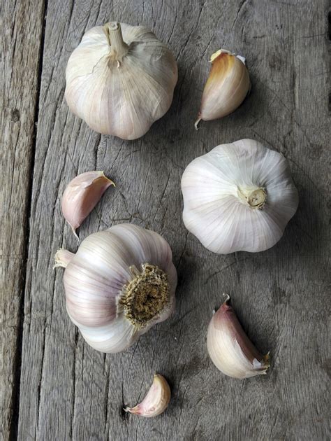 How to Plant Garlic Cloves in Your Garden | eHow