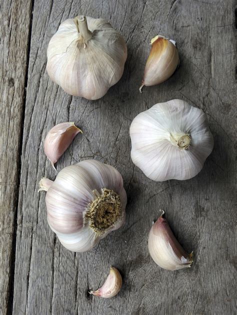 I've seen this technique used pretty frequently. How to Plant Garlic Cloves in Your Garden | eHow