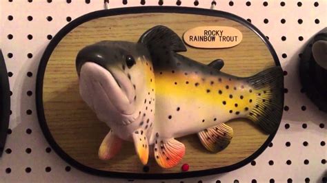 The brown, or german brown trout is originally from europe. ROCKY RAINBOW TROUT #2 - YouTube