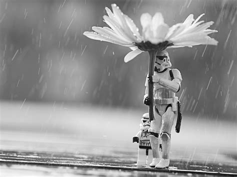 There are 1112 star wars flowers for. Lego fan art | Star wars, Art, Stormtrooper