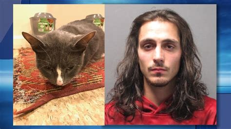 The credit card offers that appear on the website are from credit card companies from. Pawtucket man accused of killing cat, owner speaks out | WJAR