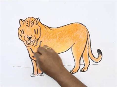 We did not find results for: How to Draw a Bengal Tiger - YouTube