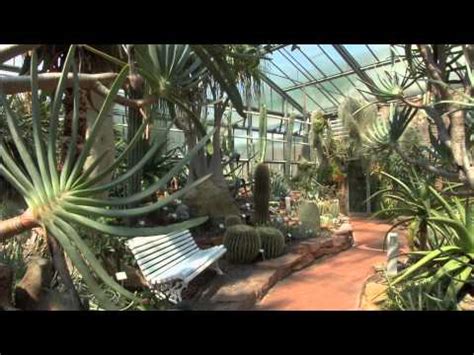 Neuer botanischer garten marburg auf den lahnbergen, alpinum, hessen, deutschland. Neuer Botanischer Garten Marburg - YouTube