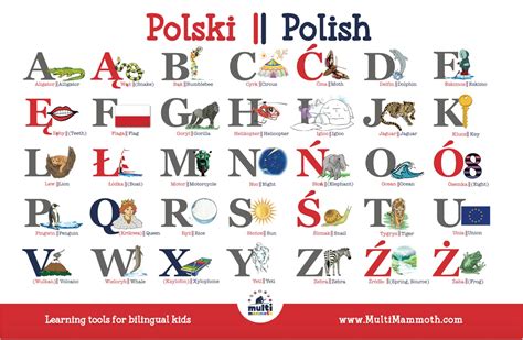 English alphabet chart (english edition) ebook : Set of TWO Polish English bilingual alphabet placemats | Etsy