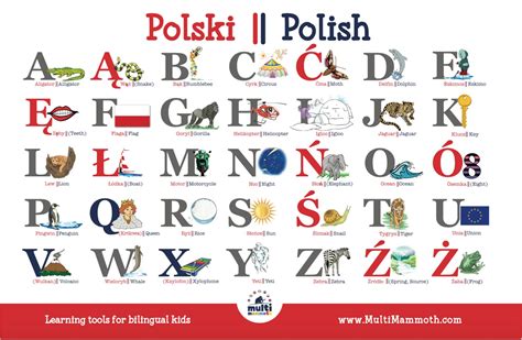 There are 26 letters in the english alphabet. Set of TWO Polish English bilingual alphabet placemats | Etsy