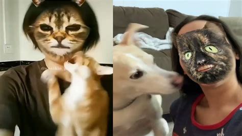 The lawyer and judge in the video say they're just happy. Dogs and Cats Hilarious Reaction When They See Cat Filter ...