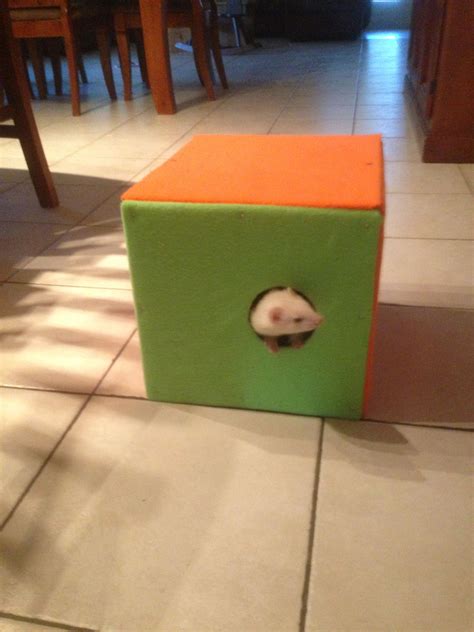 Buy ferret bedding and get the best deals at the lowest prices on ebay! Fawns new home made ferret bed/box | Best bedding sets ...
