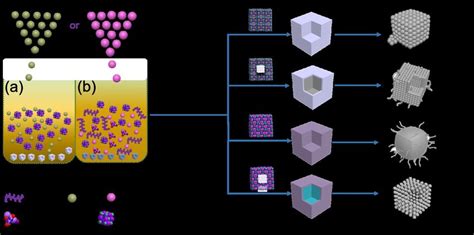 Equipping students with students sustainable skills through holistic and quality education in a supportive teaching and learning environment. Schematic illustration of the fabrication route toward ...