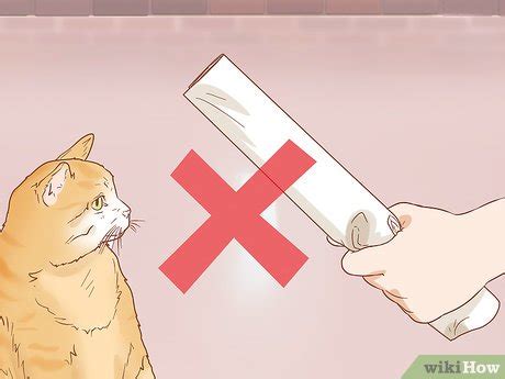 The vinegar also has the handy added effect of being a decent deodorizer. 3 Ways to Keep Cats Off Furniture - wikiHow