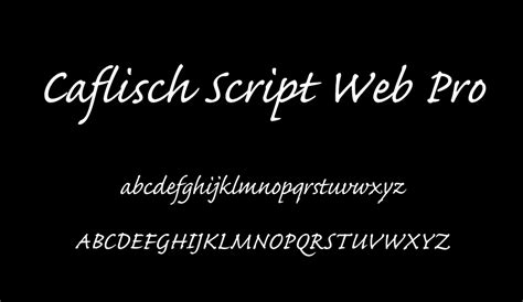 Just click to download button. Caflisch Script Web Pro free font