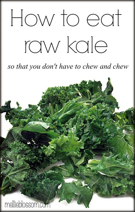 Before cooking kale make sure the leaves are free from dirt and are dry and not mushy. How to Eat Raw Kale | mellie blossom | Eating raw, Kale, Eat