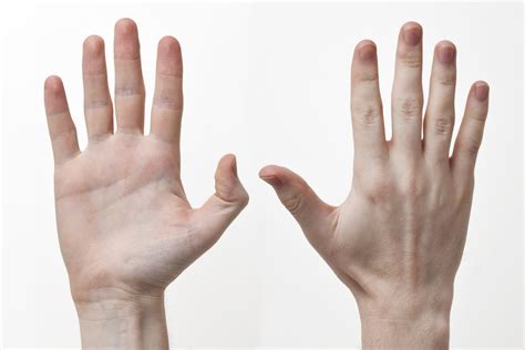 Medical experts share the possible causes of hand tremor, and what you can do about why trust us? Essential tremor - shaking up the field - On Medicine