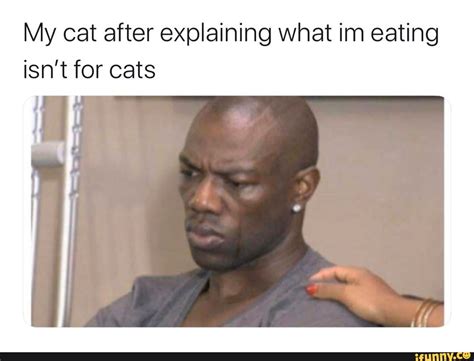 My cat after explaining what im eating isn't for cats ...
