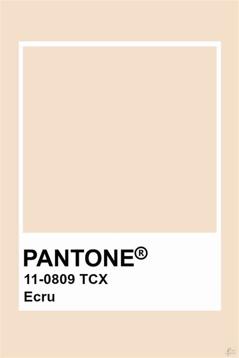 Ecru comes from the french word écru, which means literally raw or unbleached. Pin on pantone