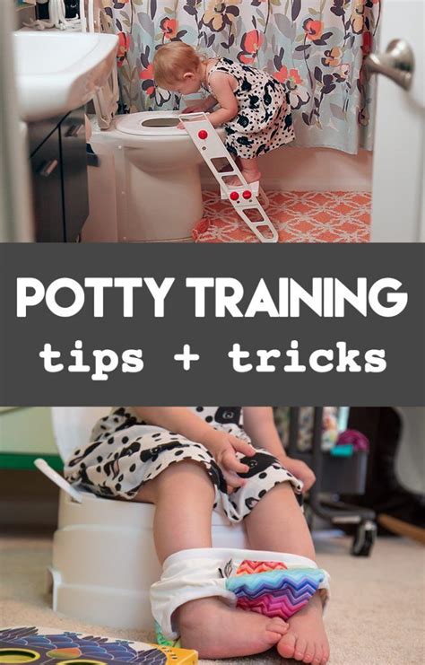 Potty Training Tips + Tricks | Potty training tips, Potty ...