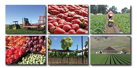 Crowds flock to this weekly event on higuera street (between nipomo and osos streets). New study: San Luis Obispo agriculture contributes $2.54 ...