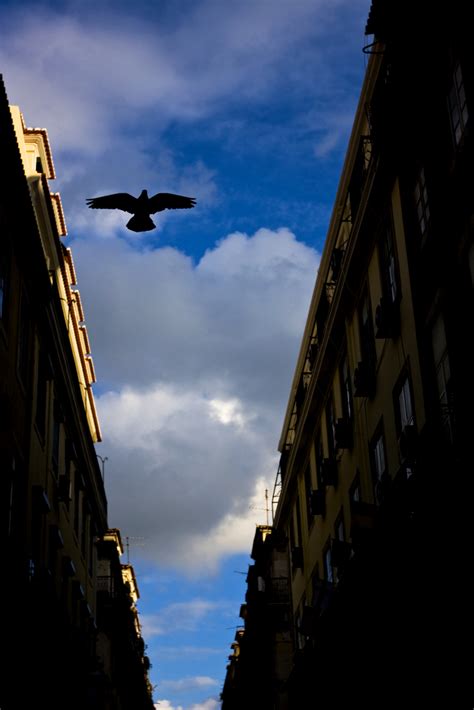 Terra da fraternidade grândola, vila morena em cada rosto, igualdade o povo é quem mais ordena. Grândola, Vila Morena | Lisbon | Stefano Corso | Flickr