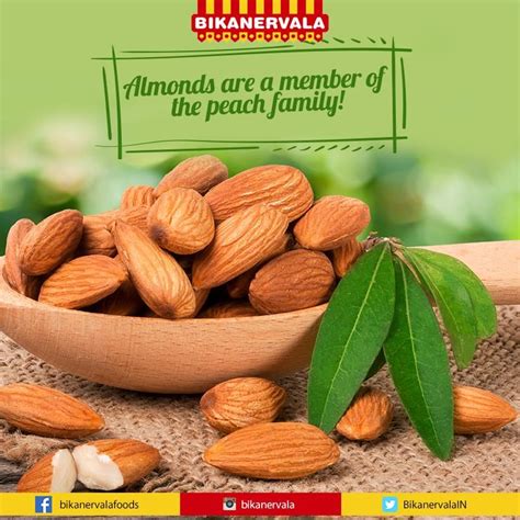 Your extended family includes all of the people in your father and mother's families. #FunFact #DidYouKnow #Almonds are members of the rose ...