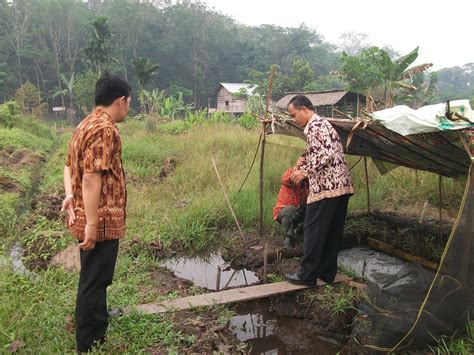 Cara budidaya cacing sutra tidak sulit. Radio Muaro Jambi News: Teknik Budidaya Cacing Sutra