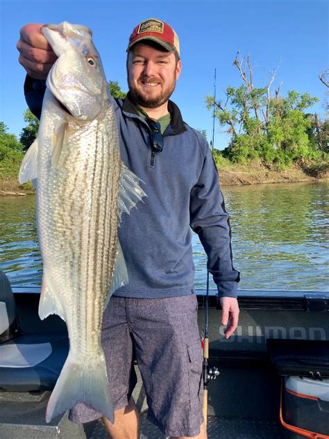 There is shore fishing at the ramp. Sacramento River - Lower Fish Report - Redding, CA (Shasta ...