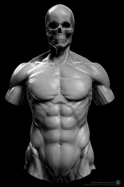 But, there are three differences. Human Anatomy 3D Sculpting Videos in Zbrush by Painzang ...