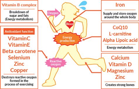 Bodybuilding.com foundation series multivitamin was one notable exception, exceeding the tul of zinc in one serving. Nutrients That Athletes And Active People Tend To Lack