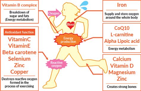 Vitamins and minerals for athletes. Nutrients That Athletes And Active People Tend To Lack