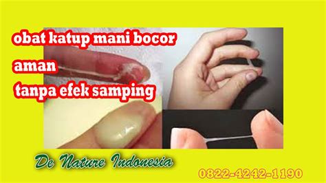 Tambah dan pekatkan air mani. Penyebab Kutup air mani bocor Dan Cara Mengobatinya Obat ...