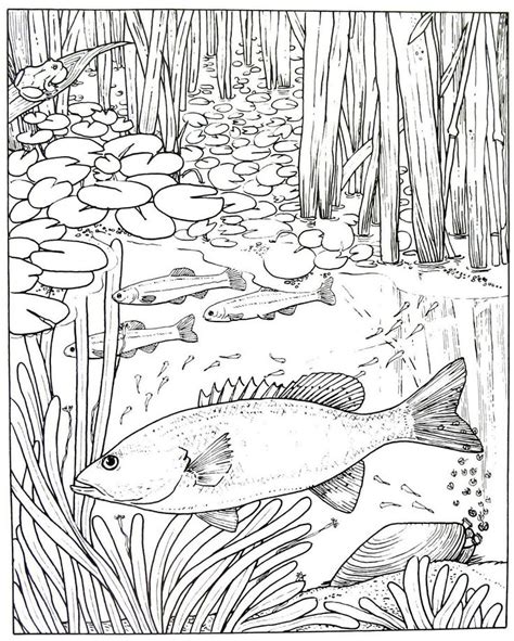 One fish, two fish, red fish, blue fish, black fish, blue fish, old fish, new fish. Fish animal coloring book page printable | Coloring books ...