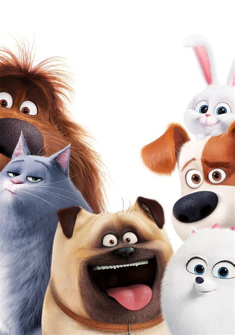 The Secret Life of Pets Movie Poster - ID: 139291 - Image Abyss