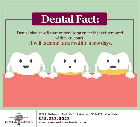 Any pigment manifestations should be removed, as the accumulation of bacteria causes problems with the teeth. Good oral hygiene is extremely important to get rid of ...