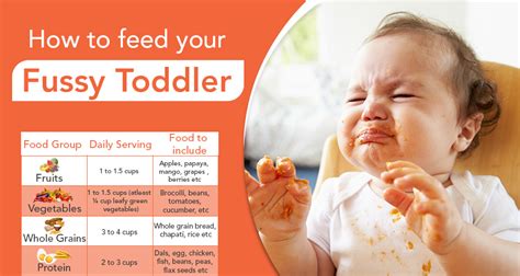 Vegetarian dinner ideas for kids. Tips for feeding fussy toddlers with food charts