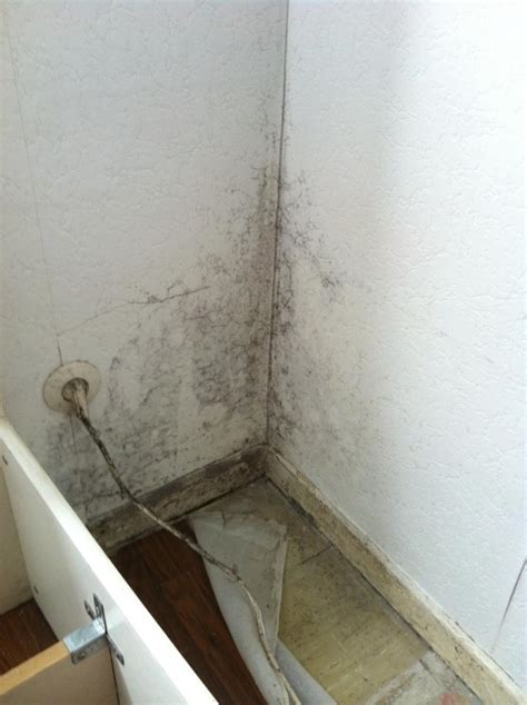 Das anti schimmel gel von nuonove ist ein reinigungsgel zur gründlichen reinigung und schimmelentfernung von fast allen arten von oberflächen. Schimmel hinter dem Bett. Was tun? (Haushalt)