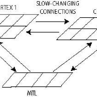 A model that represents memory as consisting of three separate components called the sensory register, the short term store and long term store, and distinguishes between structural features and control processes. Atkinson-Shiffrin Buffer model (1968). | Download ...