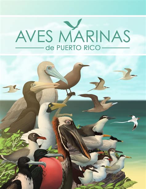 La avifauna de puerto rico consta aproximadamente de 350 especies, de ellas 120 anidan regularmente en puerto. Aves marinas de Puerto Rico by Puerto Rico Sea Grant - Issuu