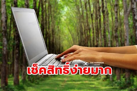 มิสทินสู้โควิด.com เช็คสิทธิ์ ได้แล้วเที่ยงนี้ 19 ส.ค. อัพเดทสถานการณ์ 'โควิด' วันที่ 23 พฤศจิกายน 2563 ทั่วโลก ...