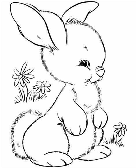 Check spelling or type a new query. Coloring Pages Of Cute Baby Bunnies at GetColorings.com ...