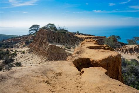 There is a $15 parking fee if you drive in, but we parked on nearby torrey pines road. Torrey Pines Hiking Guide 2020 | Outdoor SoCal