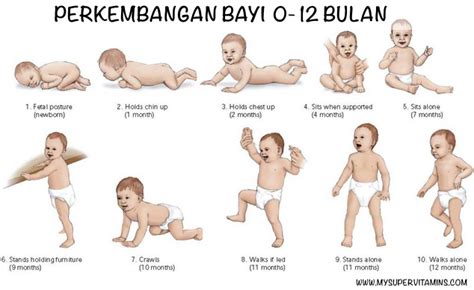 Jadwal imunisasi ini di terbitkan oleh idai. Perkembangan Bayi 0-12 bulan dan Jadual Imunisasi Bayi ...