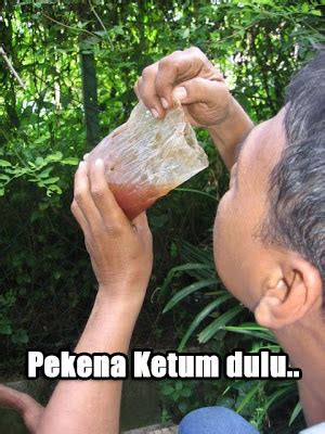 Penyakit asam urat disebabkan oleh konsumsi bahan makanan yang mengandung purin secara berlebihan. Berita Baik Untuk Penggemar Air Ketum - Gaya Hidup - CARI ...