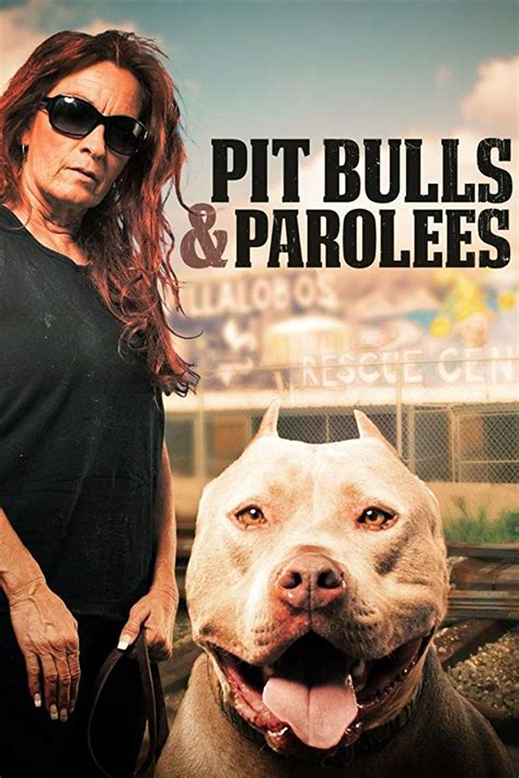 Kevin kölsch dennis widmyer, with the cast: Watch Pit Bulls and Parolees - Season 14 (2019) Free 123Movies