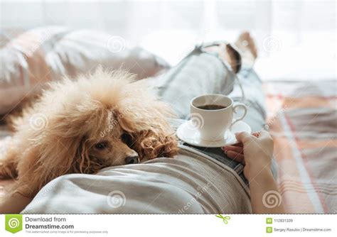Kleine hunde liegen gerne auf erhöhten sofas. Junge Frau Liegt Bei Einem Hund Auf Dem Bett Zu Hause Mit ...