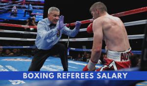 Veterinary medicine is an economically stable profession with a salary that tends to increase steadily with each year of practice. How much money does a Boxing Referee make? (All Salary ...