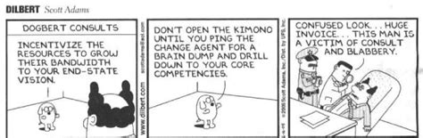 The phrase 'domestic cat' is an oxymoron. charles hugh smith-Open the Kimono and Other Techie Slang