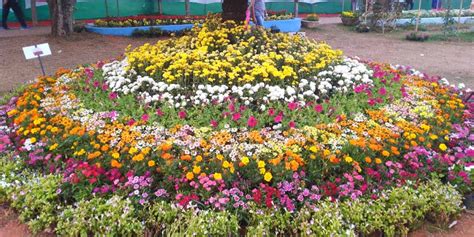 Tadom hill resorts shows what can be achieved with a little imagination. Kadir Hill Park Mangalore (Entry Fee, Timings, Images ...