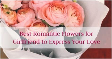 These flowers are best for a birthday or anniversary, or for a new relationship that is not quite your message: Best Romantic Flowers for Girlfriend to Express Your Love ...